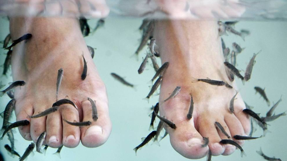 Mujer pierde dedos del pie tras tratamiento de spa con peces