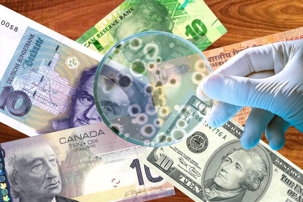 Billetes y monedas son un cultivo de bacterias