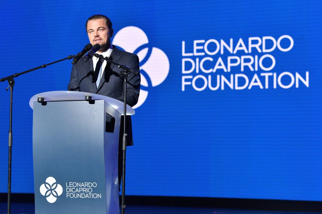Reconocen a Fundación de Leonardo DiCaprio por la preservación de la vaquita marina