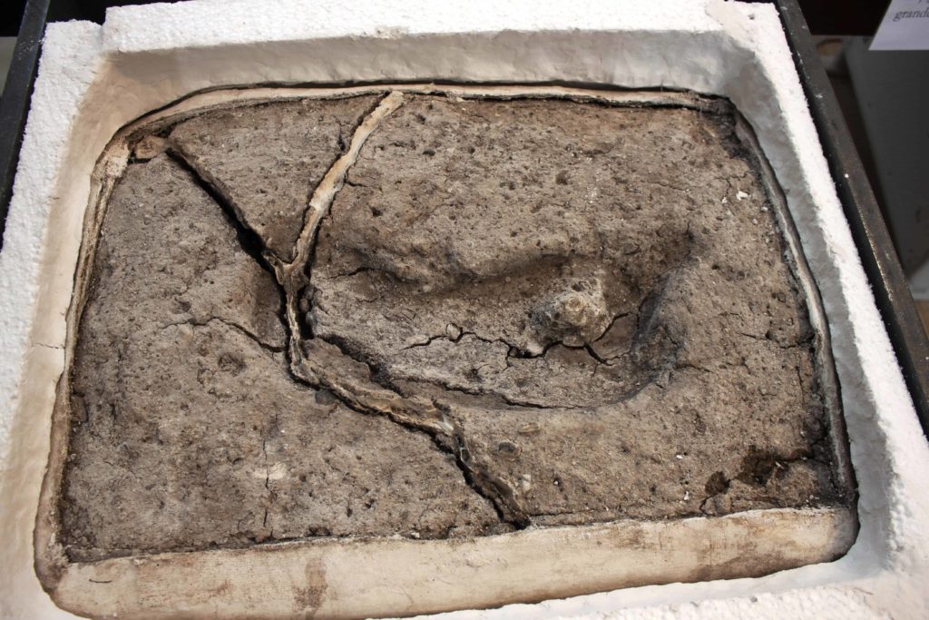¡Encuentran la huella humana más antigua del mundo!