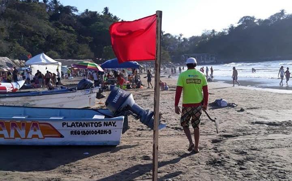 Reportan ataques de serpientes marinas a turistas en playa de Nayarit