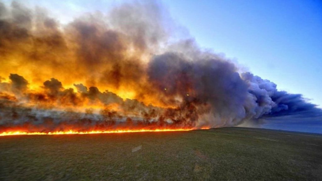 Arrasa el fuego grandes extensiones de la Selva del Amazonas #PrayForAmazonia