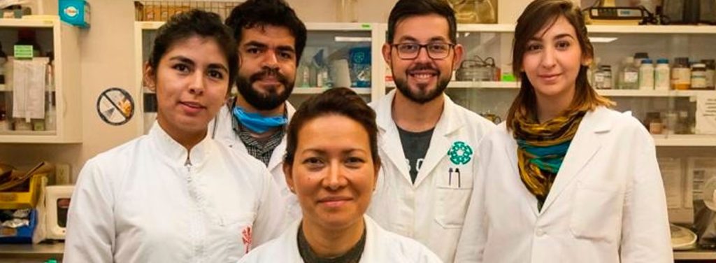 Eliminan investigadores del IPN al cien por ciento virus del papiloma humano