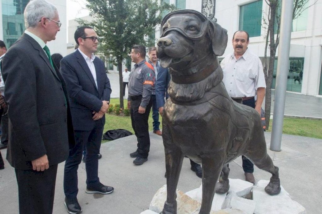 Frida la perrita rescatista es reconocida por sus labores de rescate, develan estatua