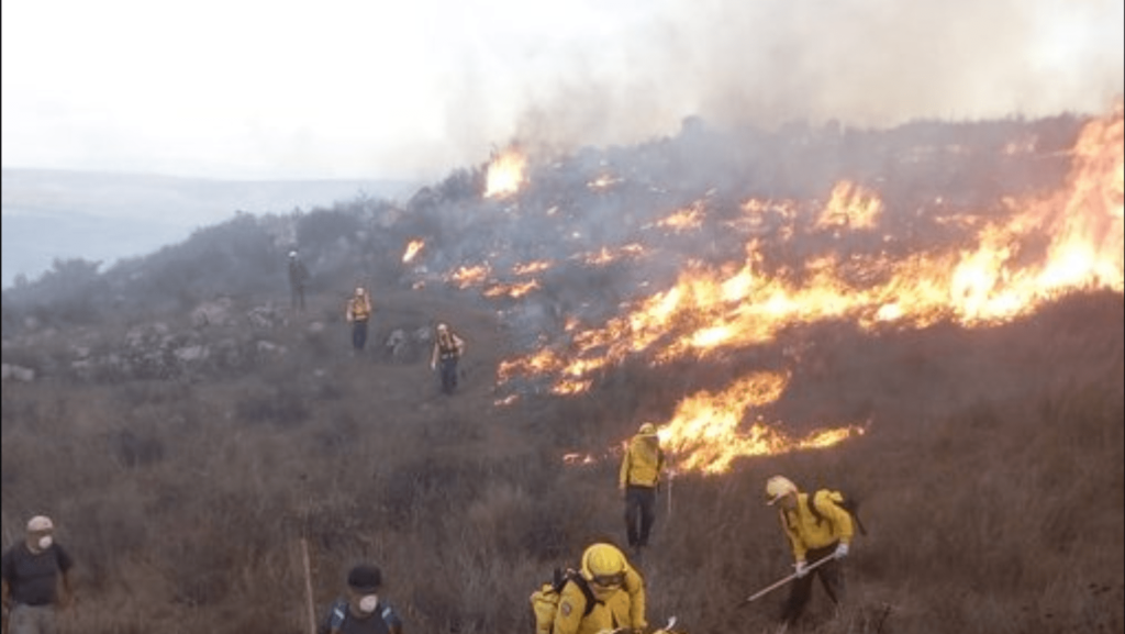 Emiten declaratoria de emergencia para Ensenada y Tecate por incendios forestales