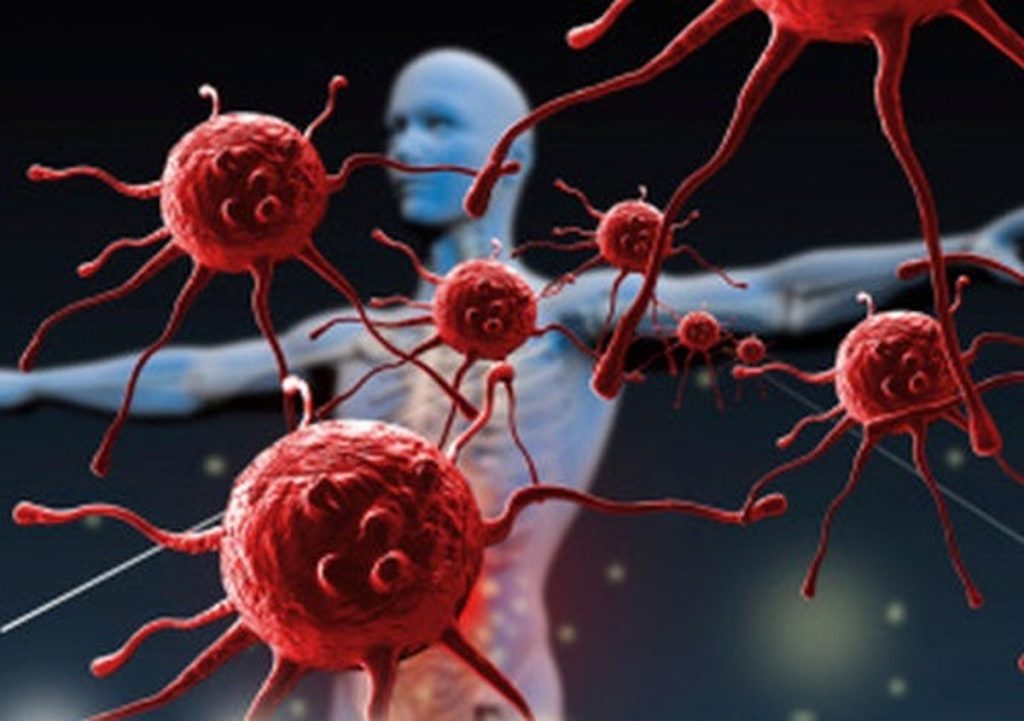 Nueva investigación revela que el sarampión borra en niños su memoria inmunológica