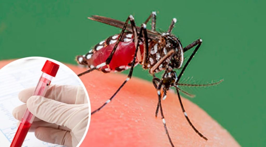 Registran primer caso de contagio de dengue por transmisión sexual