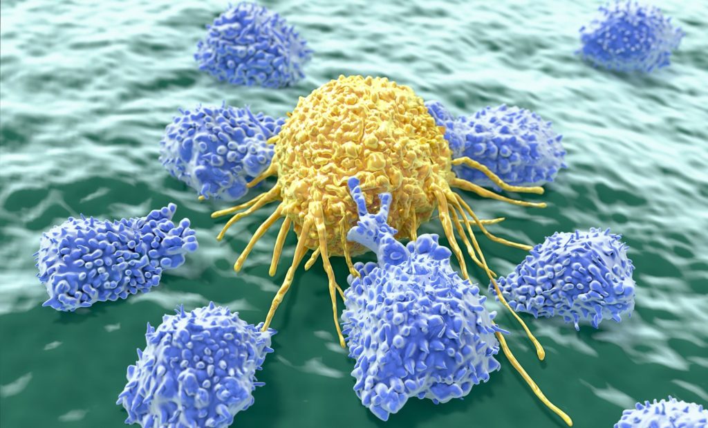 Crean virus que mata todos los tipos conocidos de cáncer