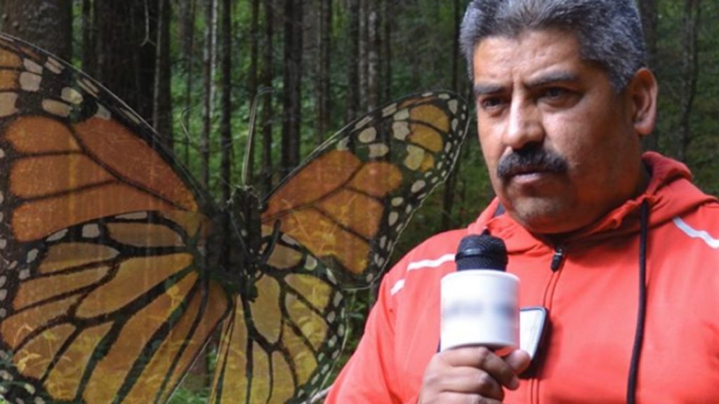Matan a Homero Gómez, defensor de la mariposa monarca, los bosques y el medio ambiente