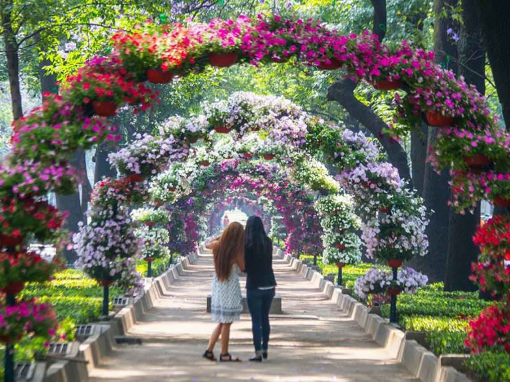 El Festival Flores y Jardines 2020 llega a la Ciudad de México