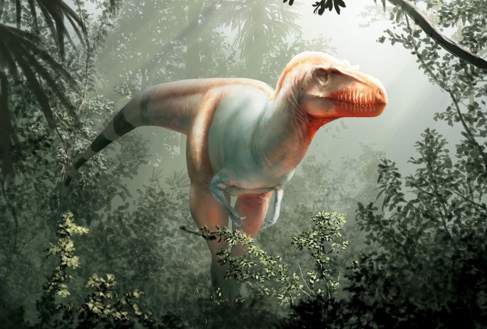 Descubren restos de una nueva especie de tiranosaurio cercano al T-Rex