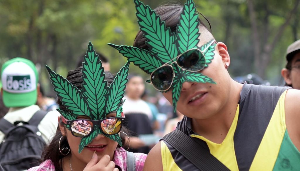 Sería legal portar 28 gramos de Cannabis pero aplicarían multas de 3.4 mdp por fumar marihuana cerca de parques o escuelas