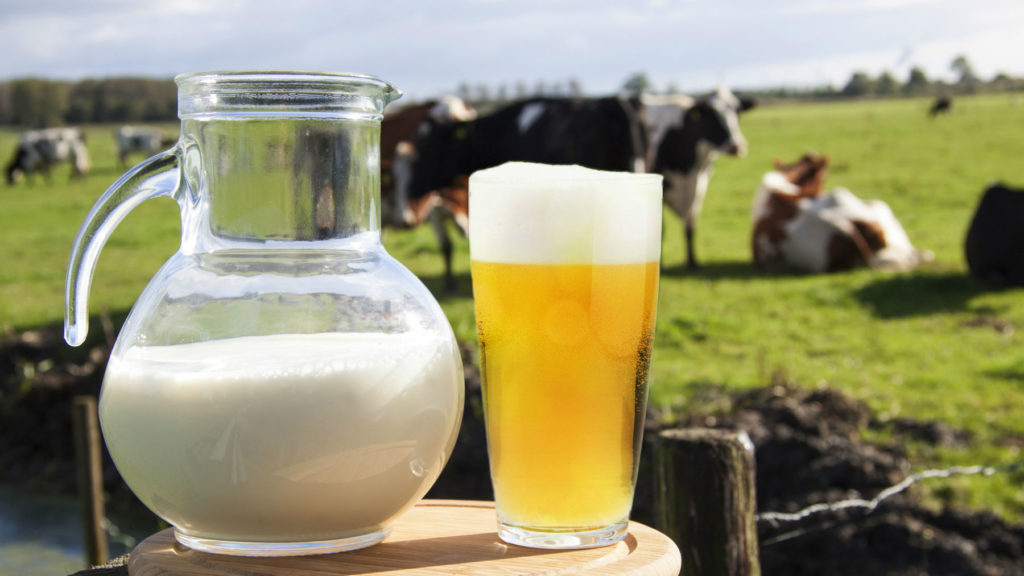 ¡Con la cerveza no! Las vacas y los productores sufren por el cierre de la industria cervecera