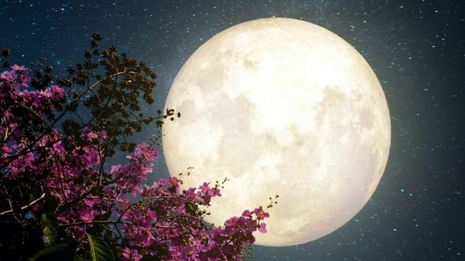 Hoy superluna: La Luna de las Flores junto con lluvia de estrellas