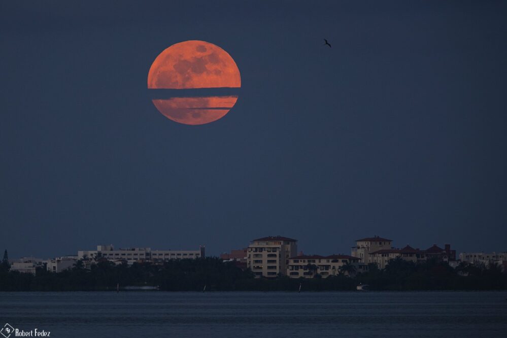 Algunas de las mejores fotos de la «Luna del Trueno» en el eclipse lunar