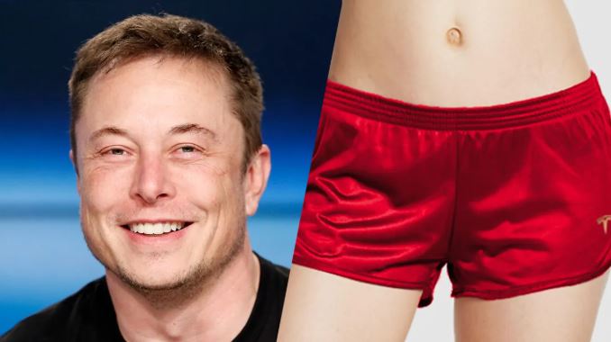 Elon Musk lanza a la venta Tesla Shorts y se agotan en segundos