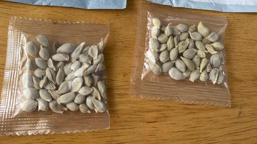 De China a Estados Unidos envían misteriosos paquetes de semillas