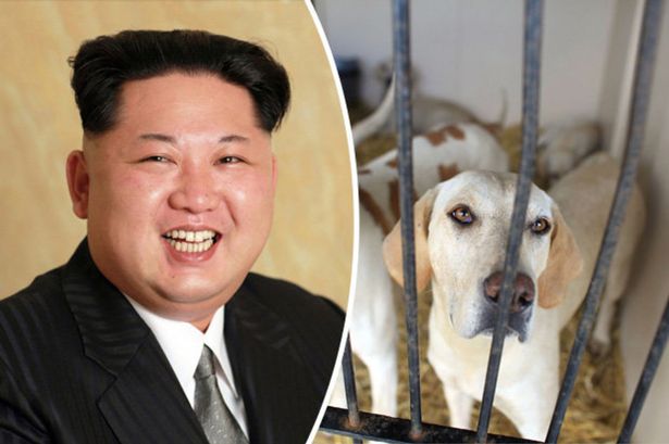Kim Jong-Un prohíbe los perros en Corea del Norte y ¡los confisca!