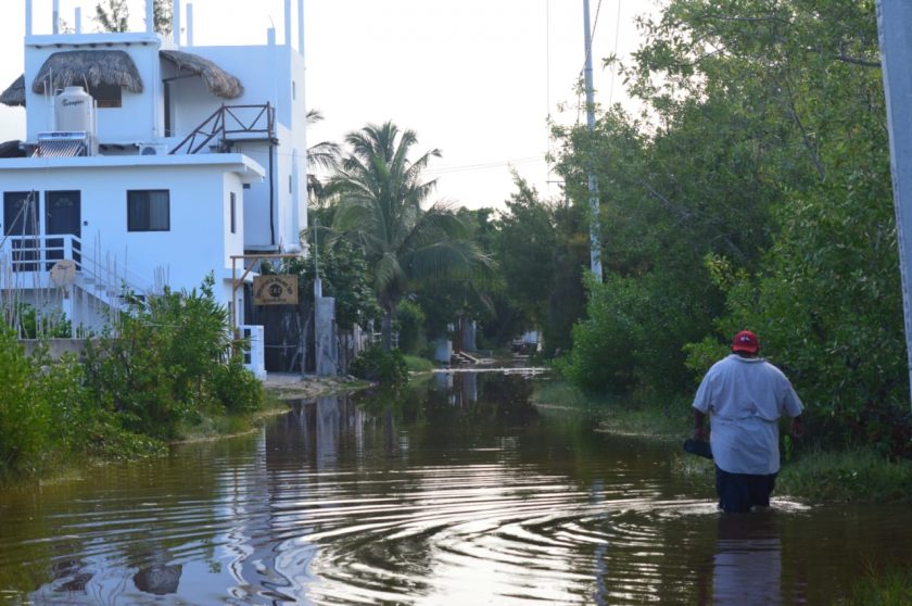 ¡Inundado! La isla de HolBox en peligro por el turismo, la basura y las inmobiliarias