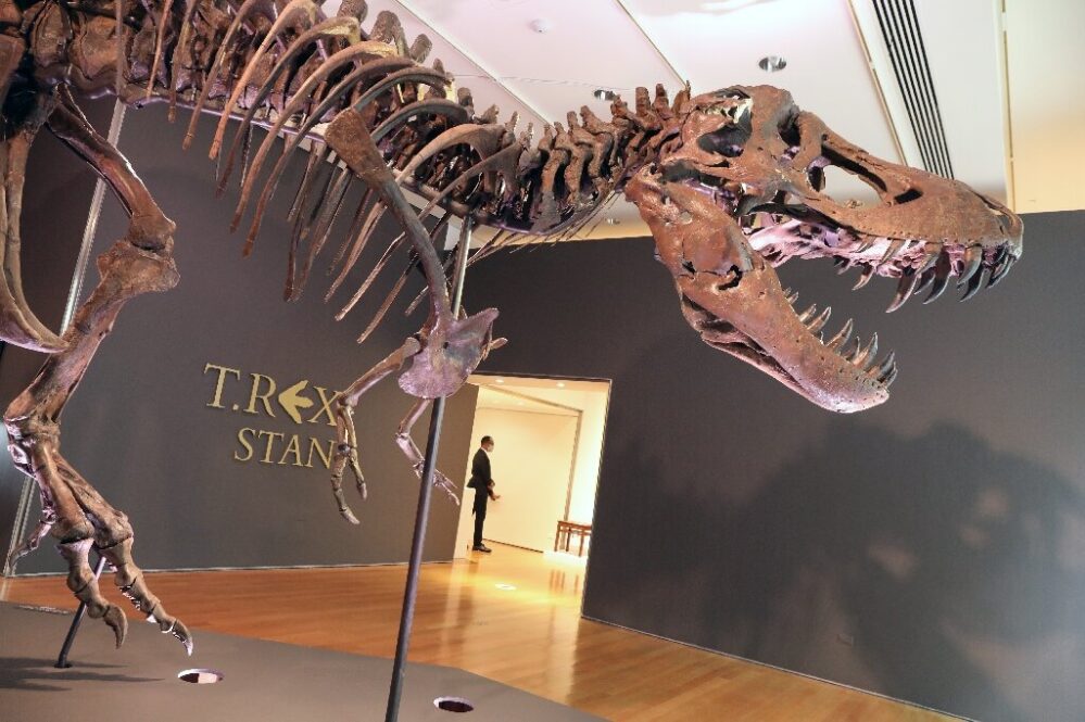 Pagan 32 millones de dólares por un esqueleto de T-Rex