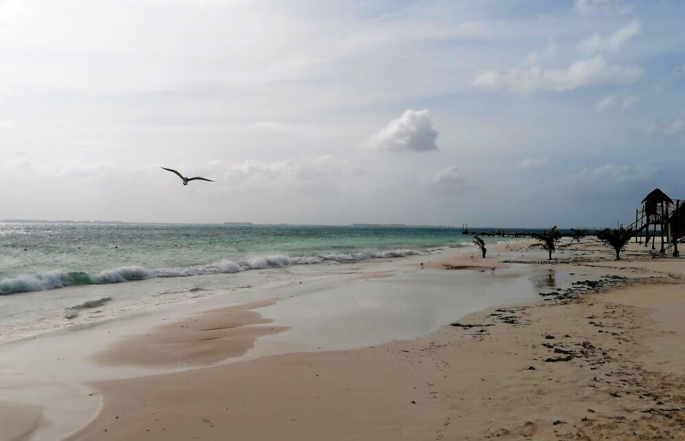 Saldo blanco en Quintana Roo tras el paso del huracán Zeta, ya se degradó a tormenta tropical