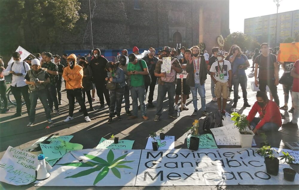 Sin compartir ‘toques’; arman ‘fumatón’ en el Senado para pedir legalización de la mariguana