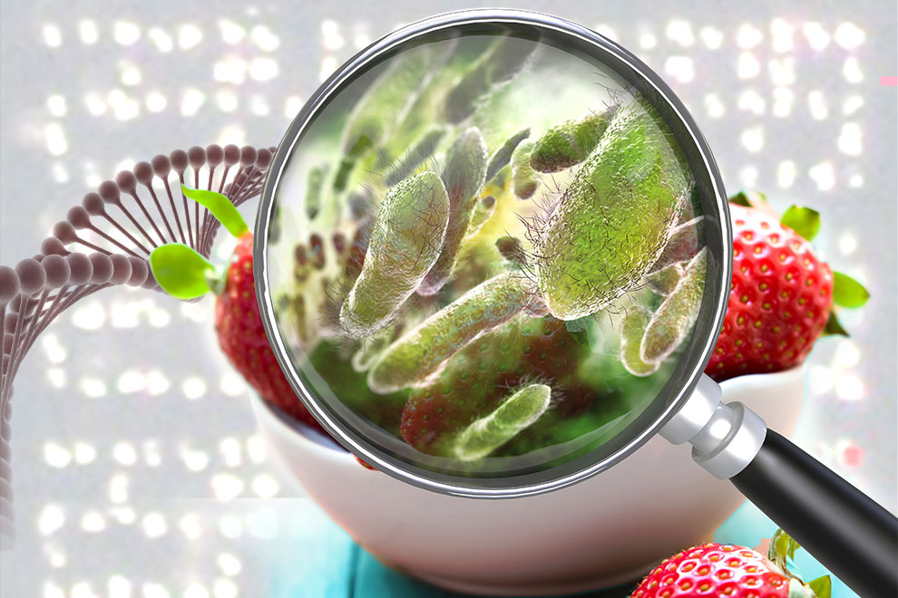 Tecnología: Usan microarreglos de ADN para detectar patógenos en alimentos