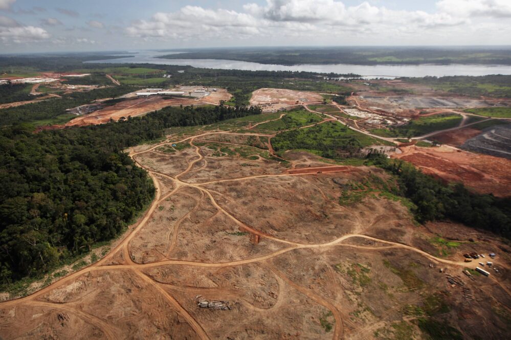 La Selva Amazonia perdió 8,500 km cuadrados en el 2020 con Bolsonaro como presidente