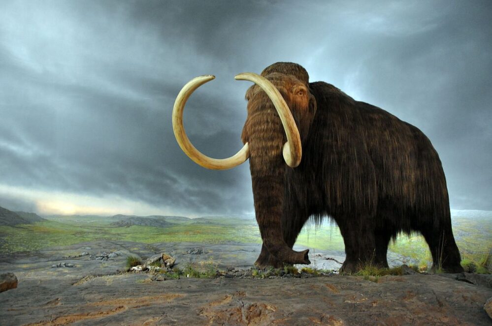 Como en Jurassic World, recuperan el ADN más antiguo del mundo en los restos de un mamut