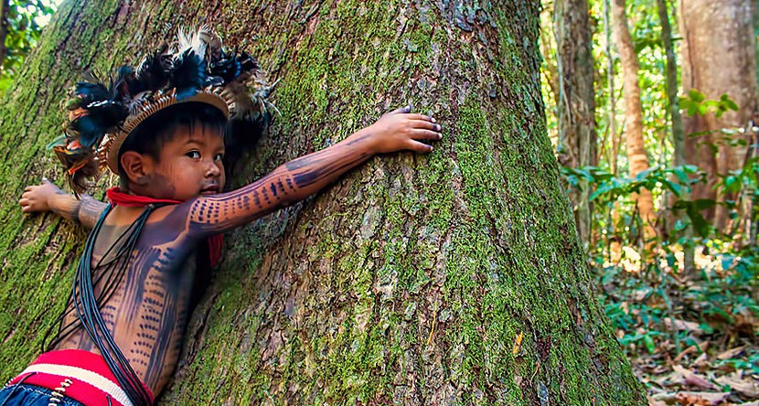 Pueblos indígenas los mejores guardianes de los bosques en América Latina: FAO