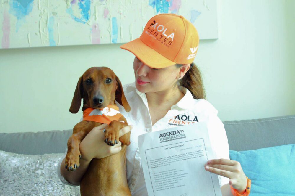 Combatir maltrato animal con educación, leyes y acciones de gobierno: Paola Fuentes
