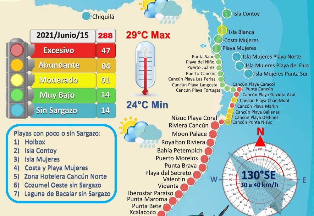 VIDEO Recale masivo de sargazo en playas de Cancún y Riviera Maya
