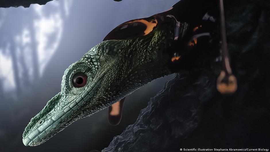 El dinosaurio más pequeño del mundo es un misterioso reptil