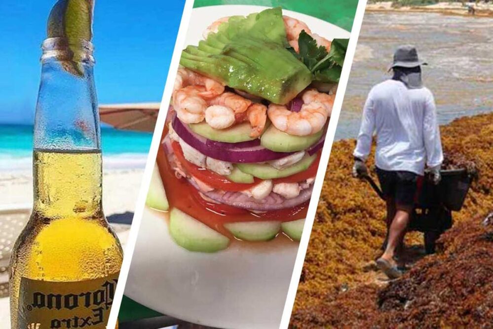 Si ayudas a recolectar sargazo, te dan una cerveza y hasta ceviche en Cozumel