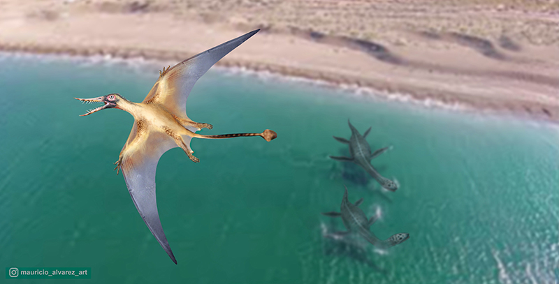 Identifican en Chile enigmático dragón volador de la época del Jurásico