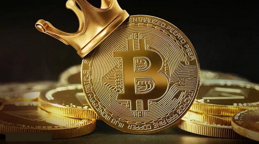 ¡Sube y sube! Bitcoin alcanza un nuevo precio récord de casi $67.000 dólares