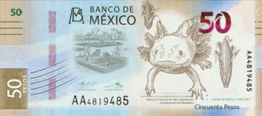 Presentarán nuevo billete de 50 pesos, ya no estará José María Morelos