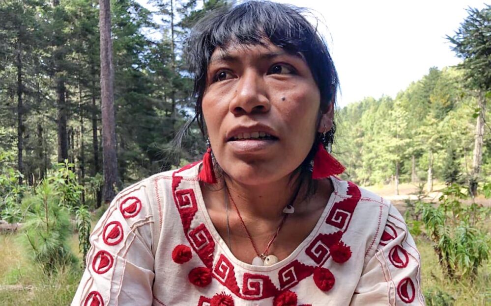 Alerta rosa por desaparición de Irma Galindo Barrios defensora mixteca del bosque en Oaxaca