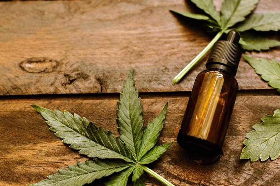 Marihuana es prioridad, saldrá en Senado Ley de Cannabis: Ricardo Monreal