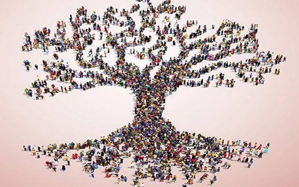 Big Data: crean el árbol genealógico humano más grande jamás visto