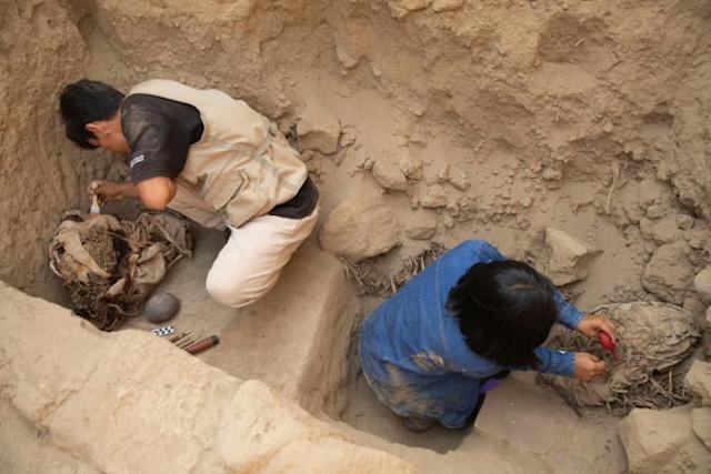 Arqueólogos descubren momias de seis niños víctimas de sacrificios en Perú