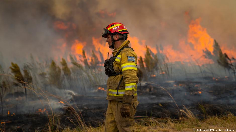 Incendios forestales son más extremos, es hora de «aprender a vivir con el fuego»: ONU