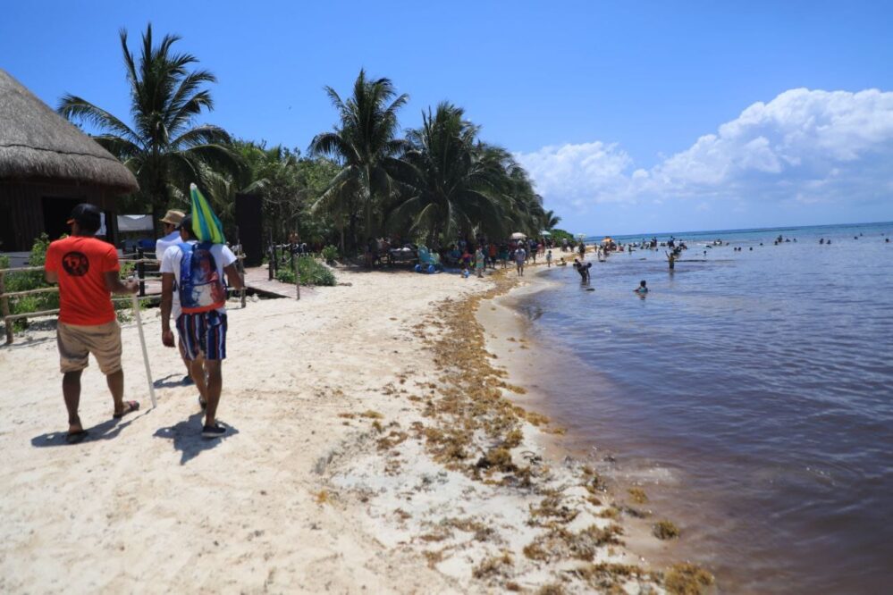 Turistas y locales disfrutan de playas certificadas en Playa del Carmen