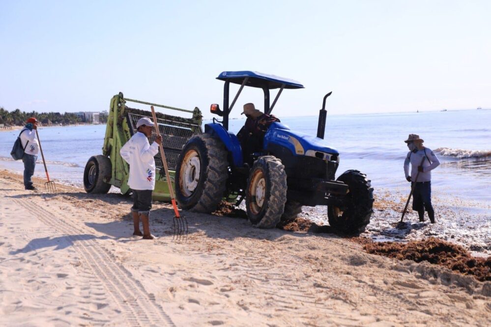 En Solidaridad crean alianzas para frenar erosión de playas