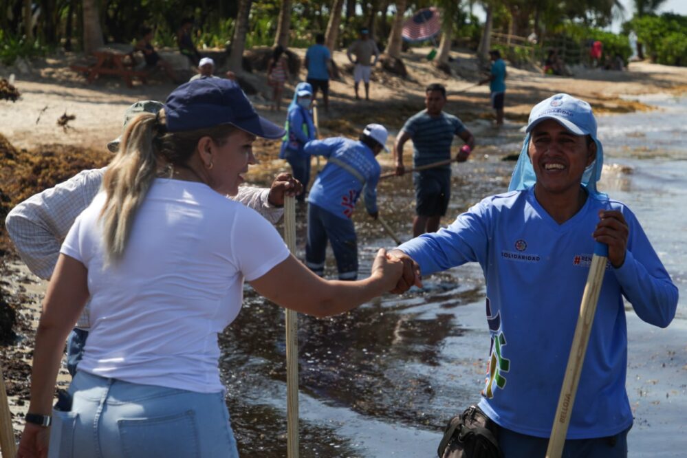 Solidaridad: Jornada de limpieza de sargazo en Punta Esmeralda
