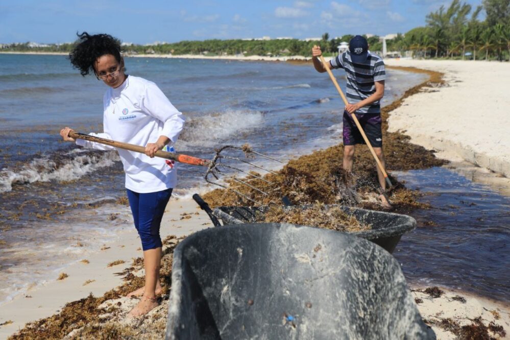 Continúa en Playa del Carmen y Puerto Aventuras jornada de limpieza de playas