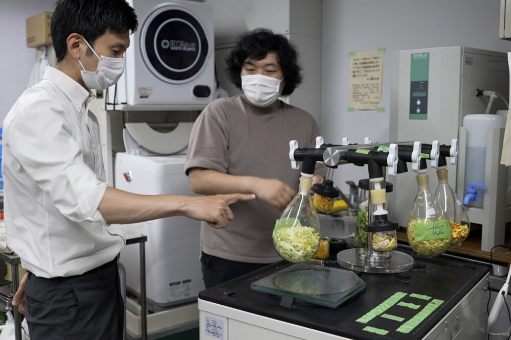 Japoneses transforman desperdicios de alimentos en cemento