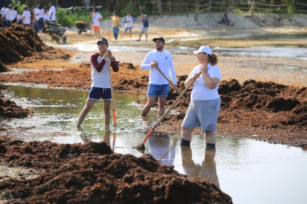 Voluntarios se suman a limpieza en Playa del Carmen