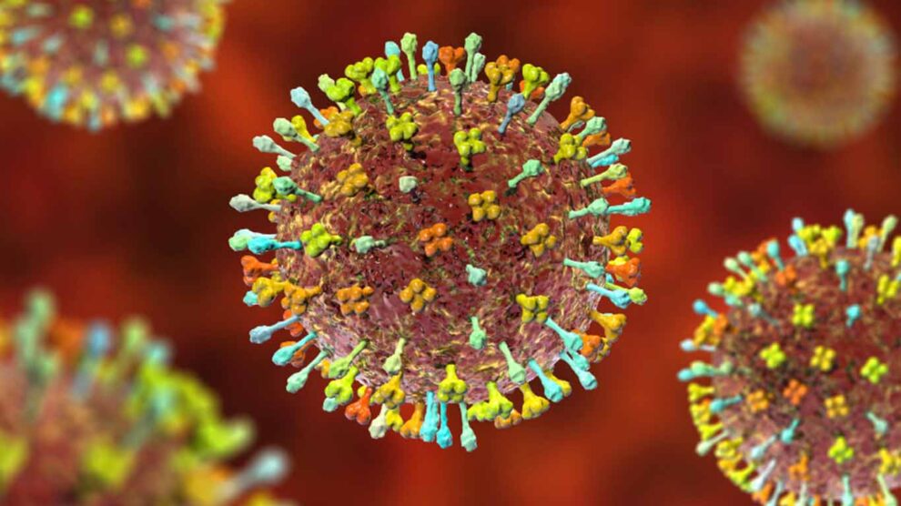 ¡Ay no! Henipavirus: el nuevo virus que detectan científicos en China