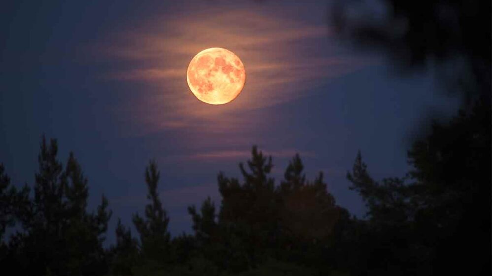 Octubre con Luna del Cazador: ¿Qué es y cuándo podrá ser vista? Aquí te decimos